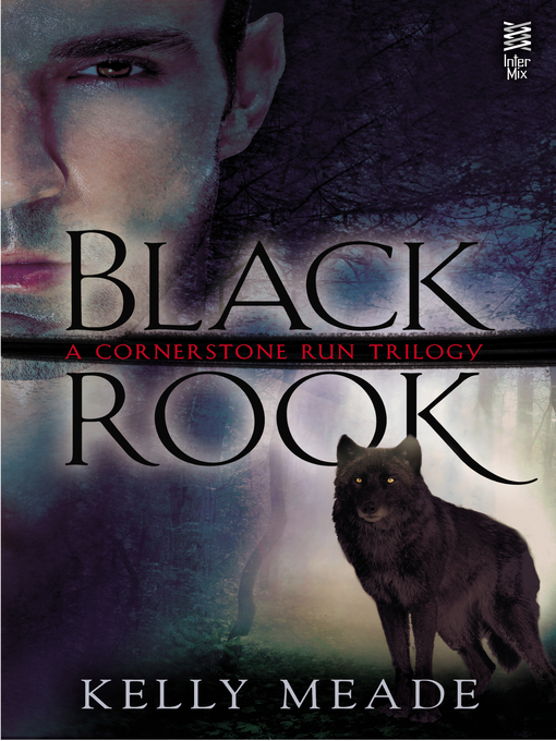 Title details for Black Rook by Kelly Meade - Wait list